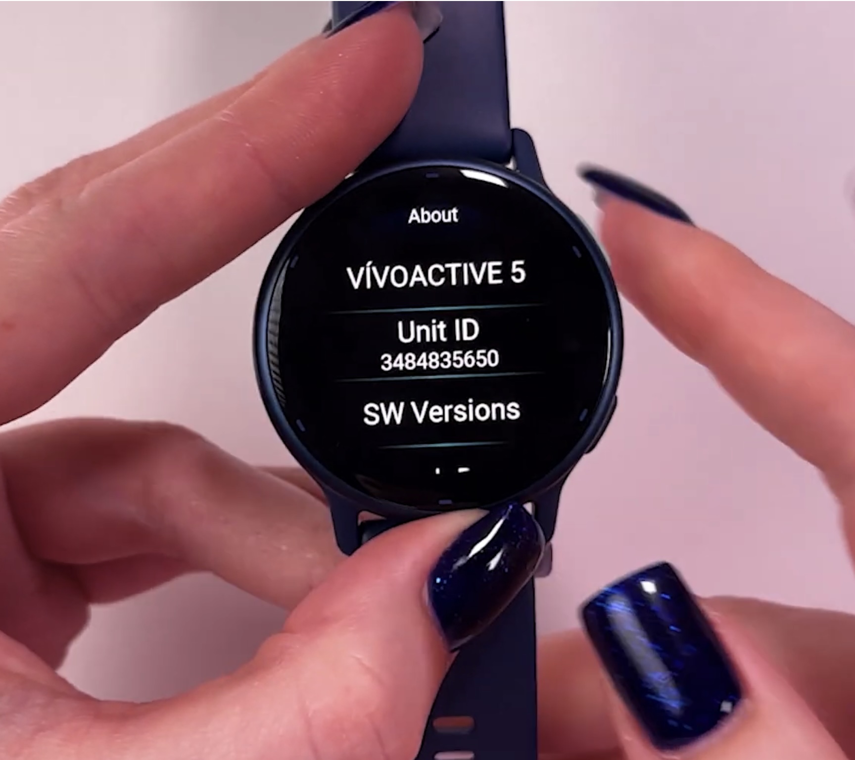 Schermata About su Garmin Vivoactive 5 con Unit ID